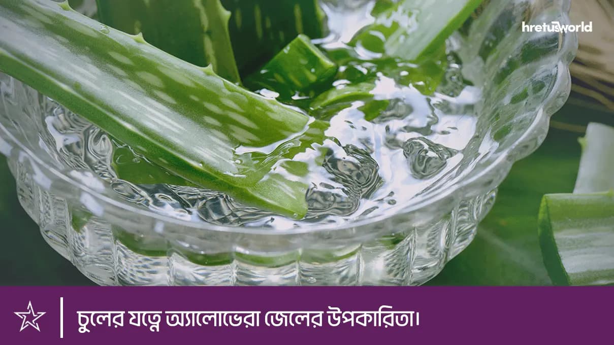 চুলের যত্নে অ্যালোভেরা জেলের উপকারিতা।