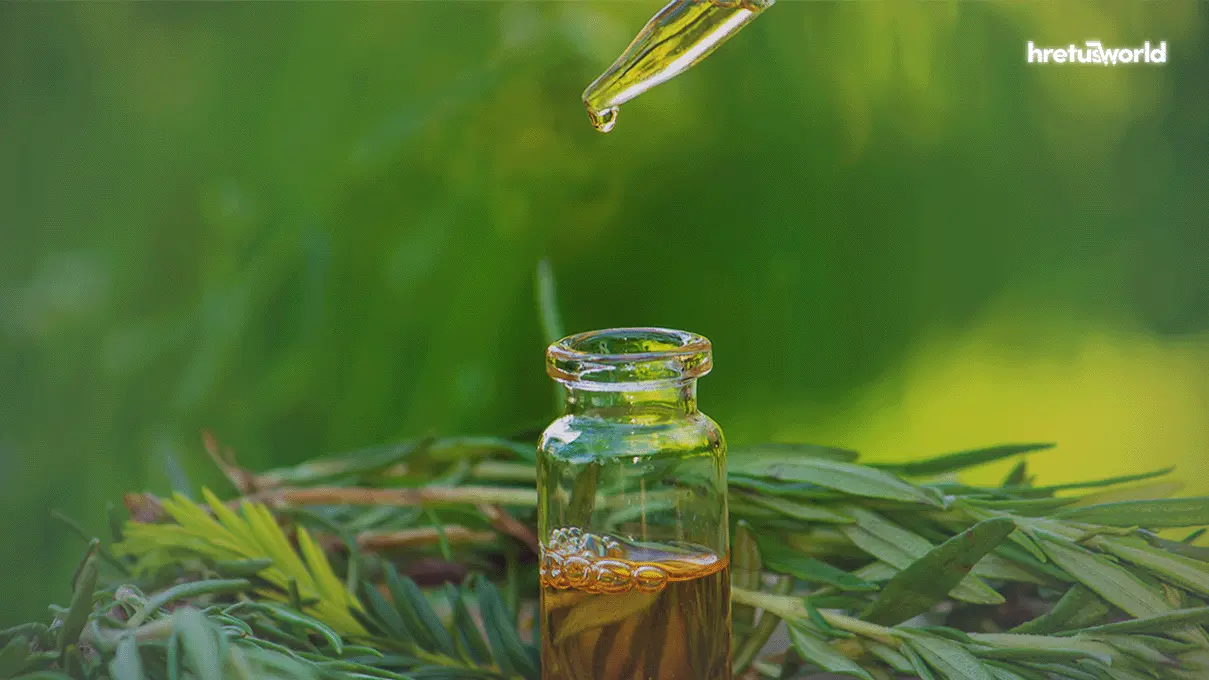 টি ট্রি অয়েল (Tea Tree Oil) কি? ব্যবহারের নিয়ম। 3 tea tree oil natural