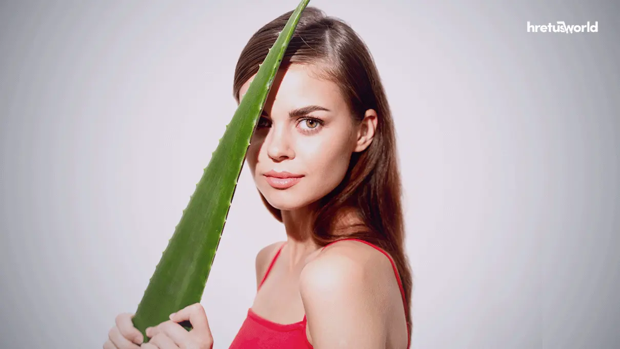 চুলের যত্নে অ্যালোভেরা জেলের উপকারিতা। 2 hair Care aloe vera