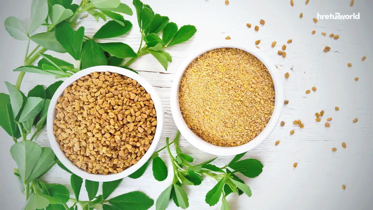 চুলের যত্নে মেথির ব্যবহার ও এর উপকারিতা। 2 fenugreek seed