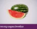 Benefits of watermelon for skin care