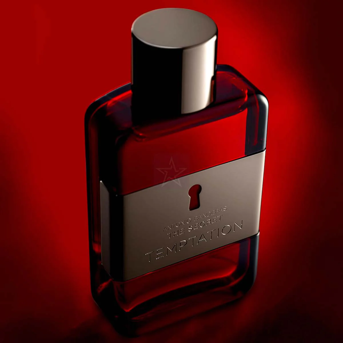 Antonio Banderas The Secret Temptation