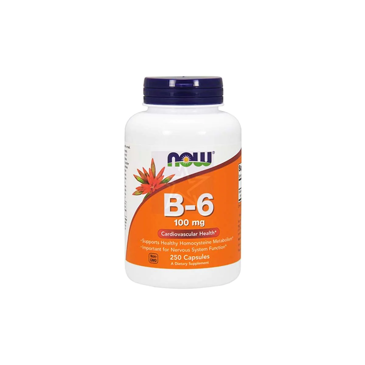 NOW Vitamin B-6 100mg,250 Capsules NOW Vitamin B-6 100mg,250 Capsules