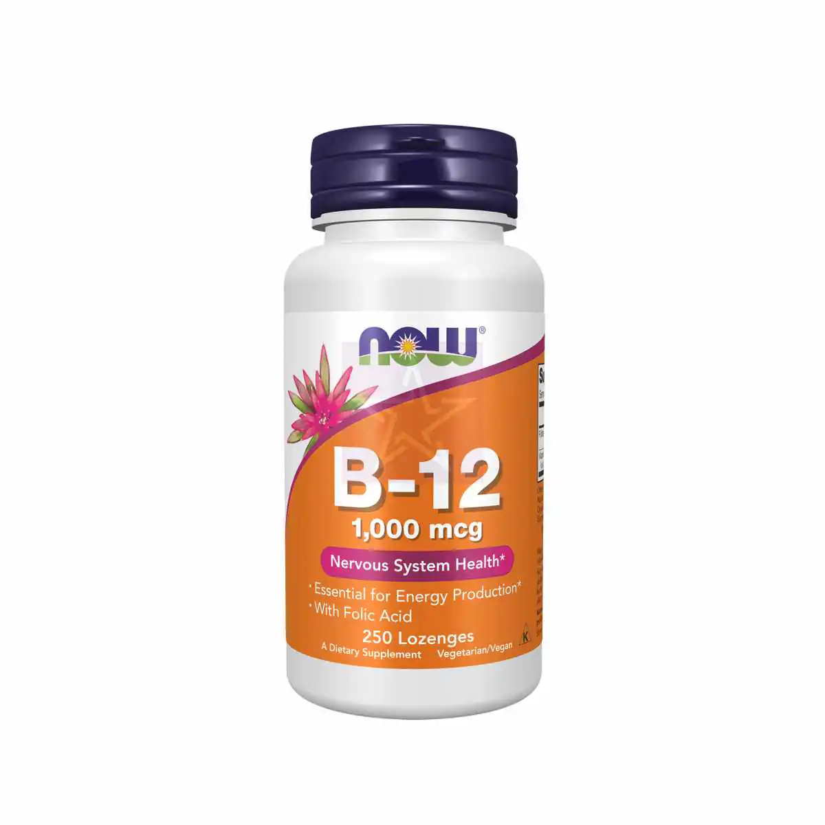 Vitamin B-12 1000 mcg Lozenges Vitamin B-12 1000 mcg Lozenges